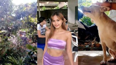 Kapag Ang Libog ay Nagsalita: Ang Sakit ng Pag-ibig na Walang Hanggan, Pero Bakit Ako Bumabagsak sa Kanya?